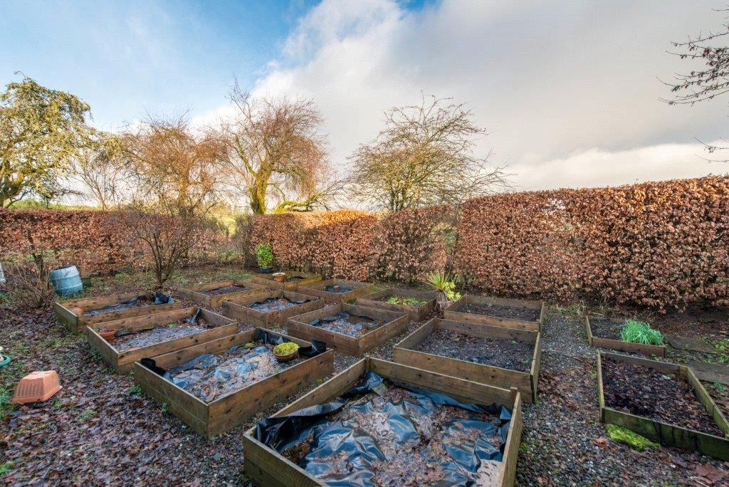 Vegetable Patch