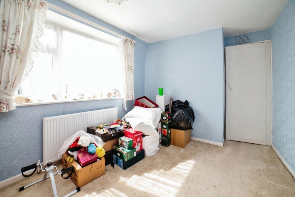 IMAGE 12