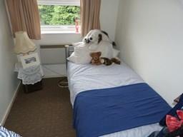 Bed 2