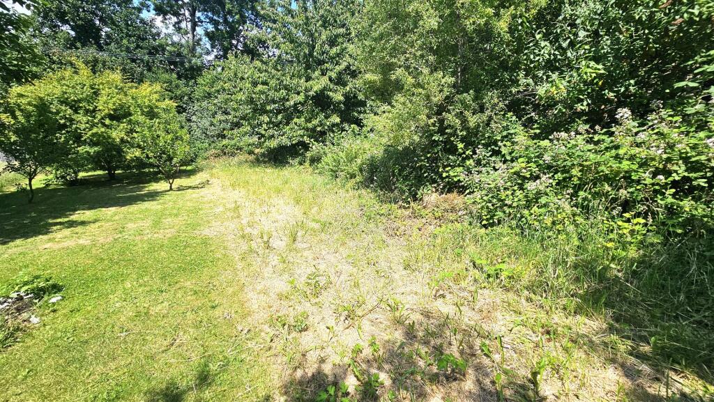 Rear Garden Allotment.jpg