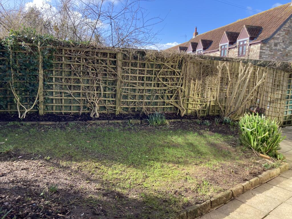 IMG 1997 T202502271447.jpg