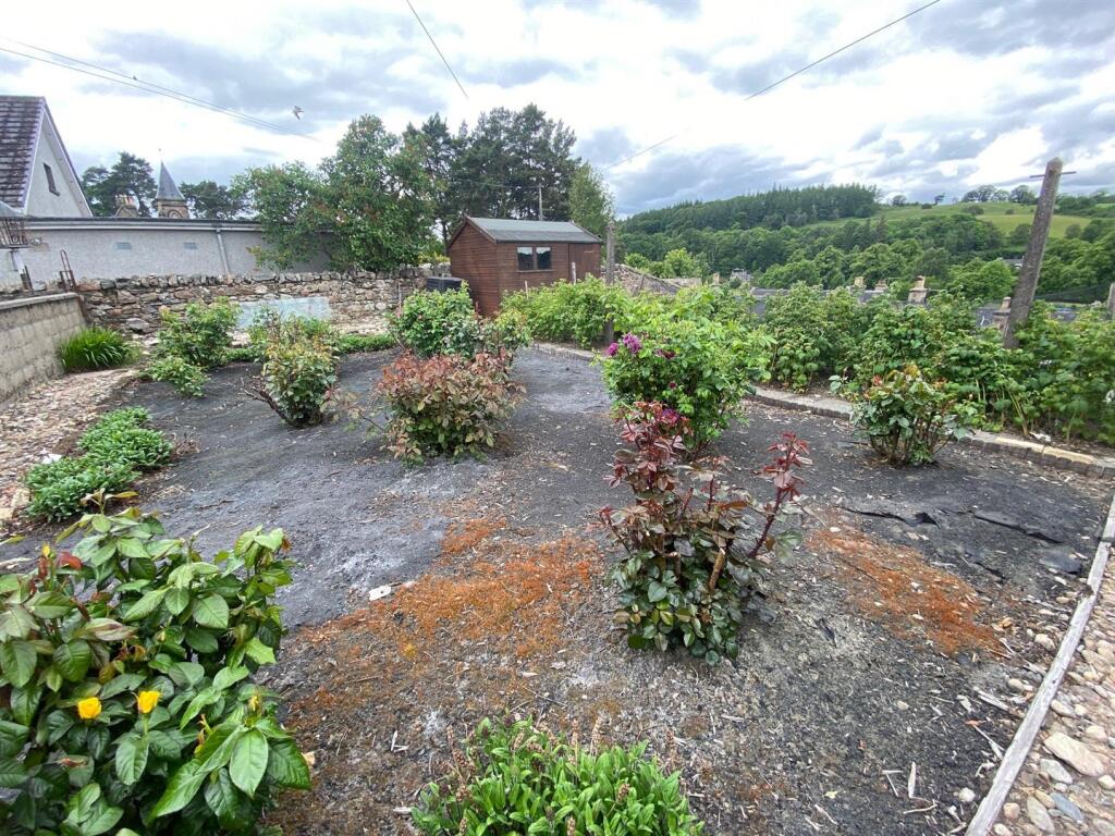top of garden june 2.jpg