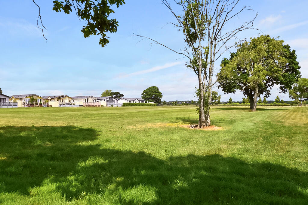 Dog walking Area