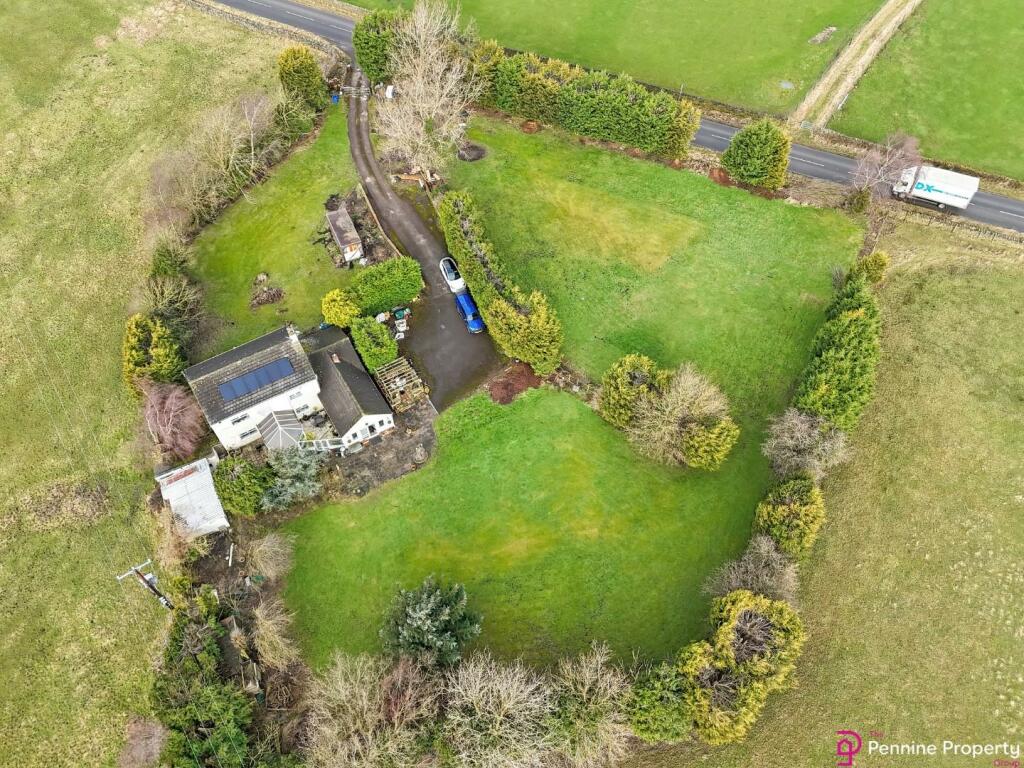 DJI_20240201111708_0941_D.jpg
