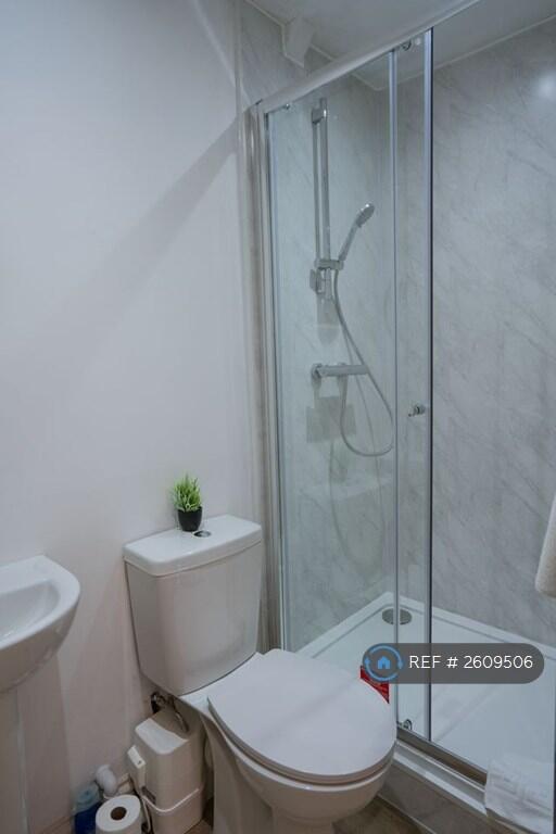 Bathroom 2 - Toilet, Sink, Large Shower