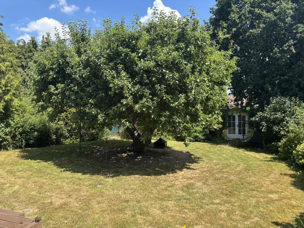 garden 2