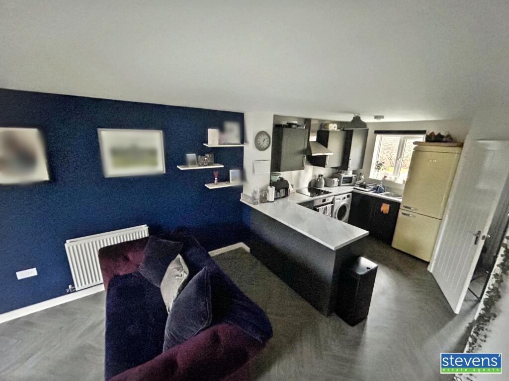 image00003_blurred (2)