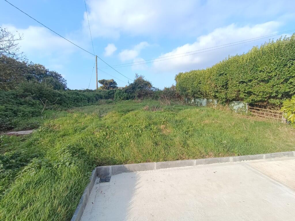 Back Garden 