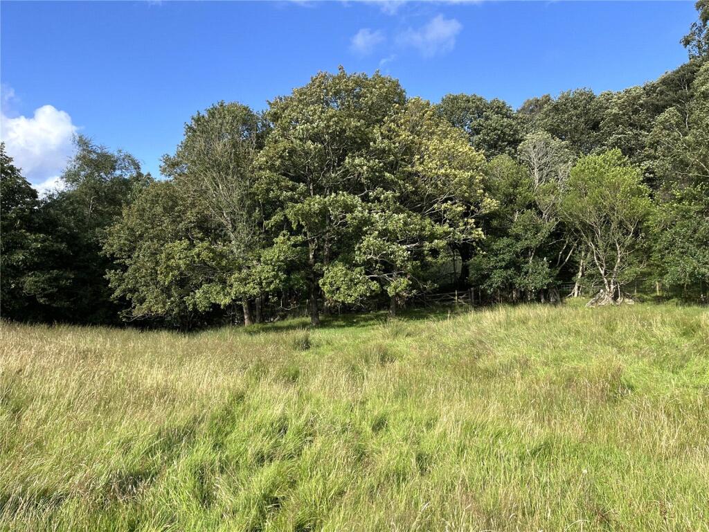 Lot 1