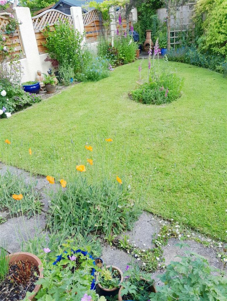 Rear garden.jpg