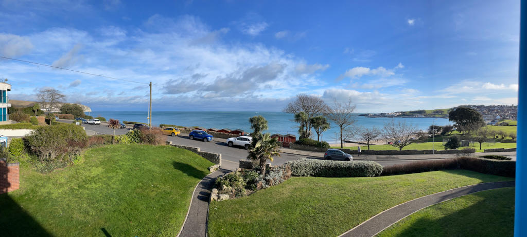 Panoramic
