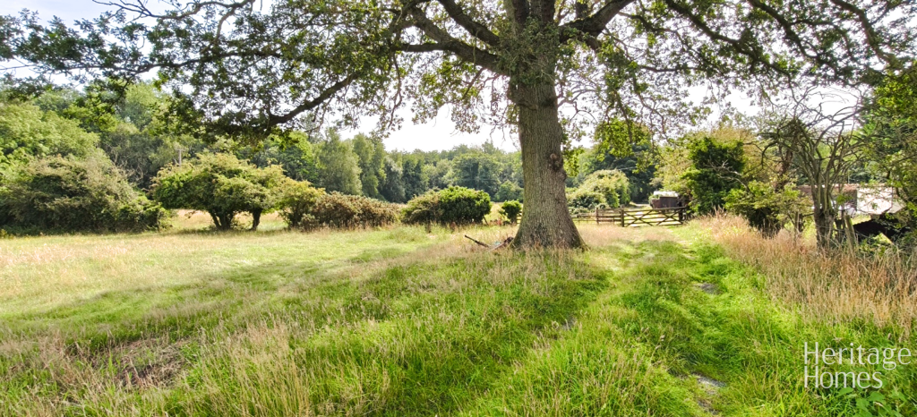 IMG20250813102527-fotor-202508141496