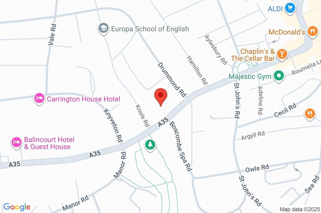 Google Maps Image