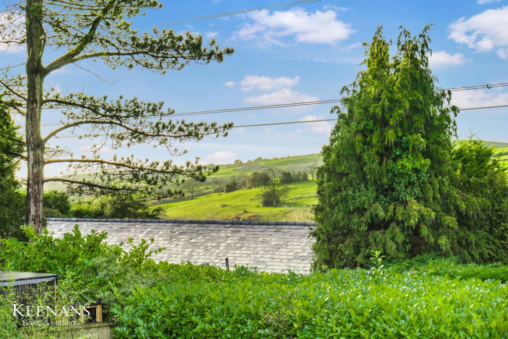 38.jpg