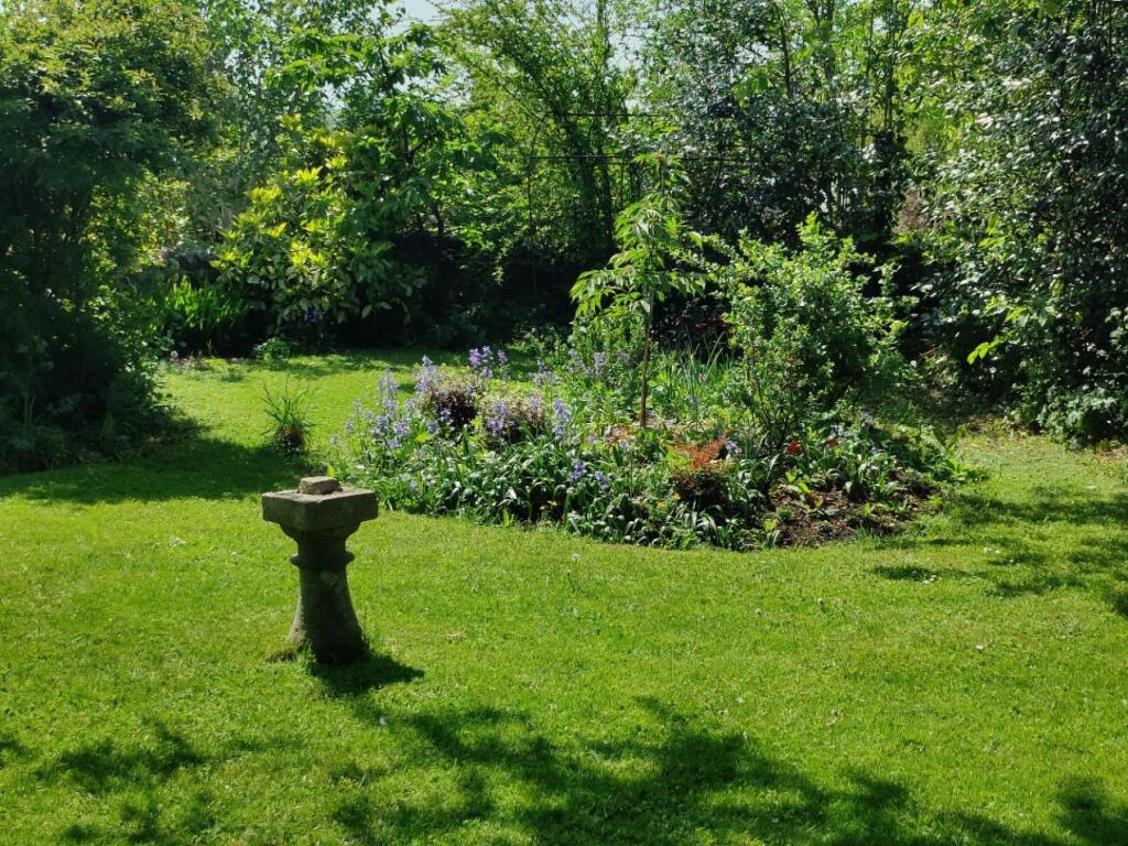 Garden 4.jpg