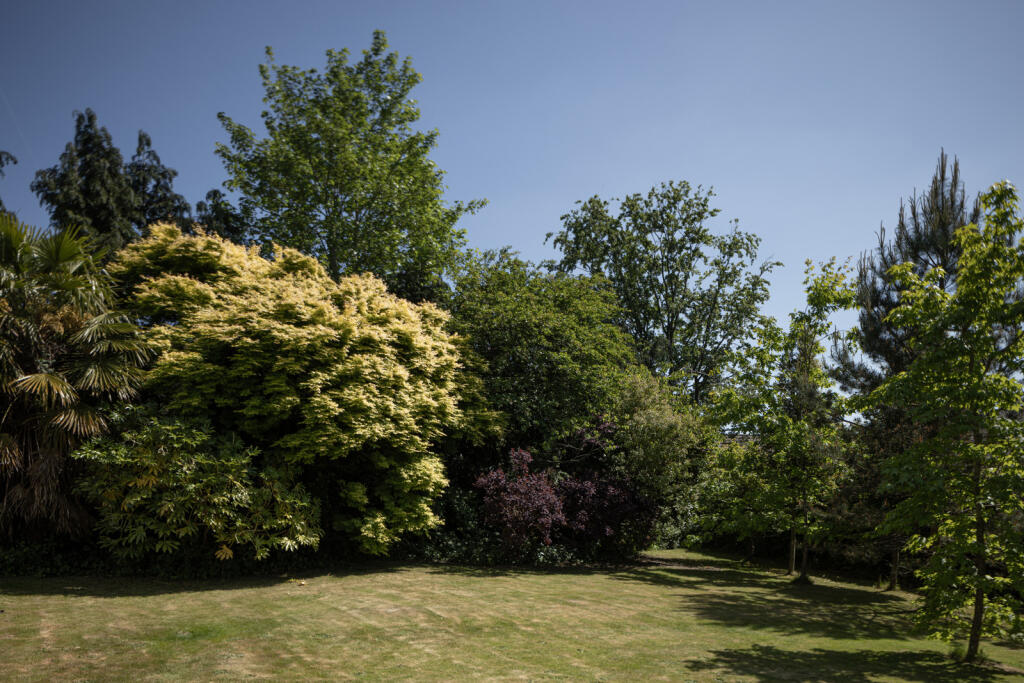 286176 - INIGO_THE_CLEARING_HIGH_STREET_HAWKHUR...