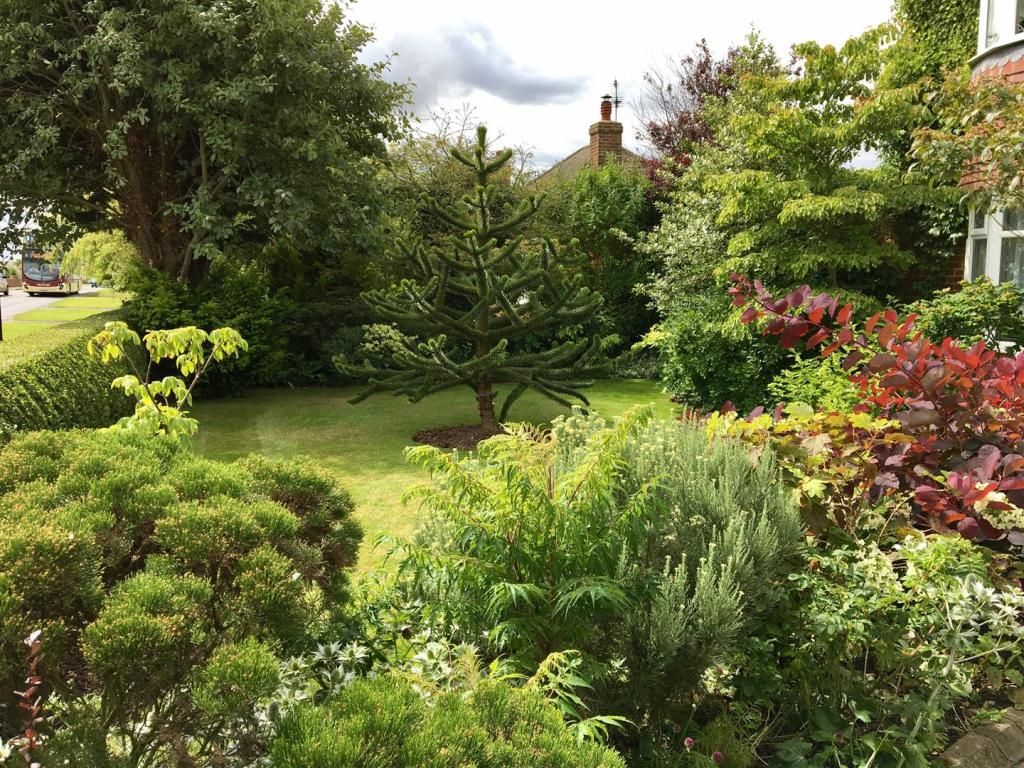 Front garden, 54 Hollym Road (1).jpg