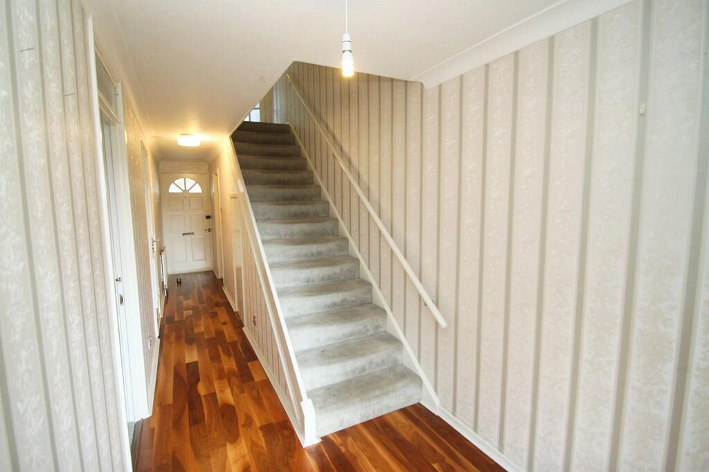 IMG_8482_10_origi...