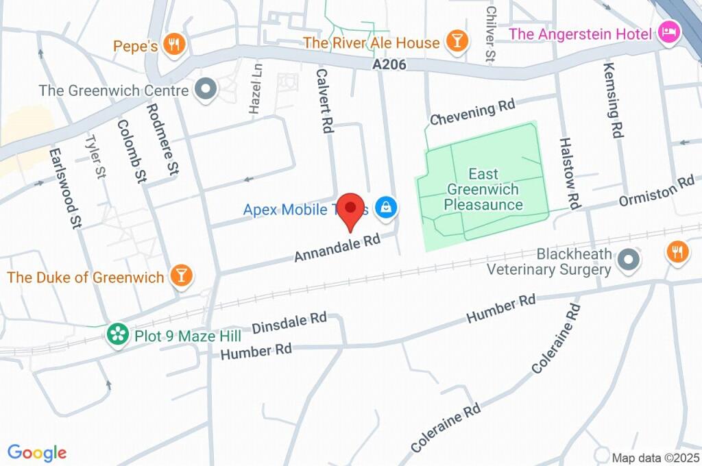 Google Maps Image