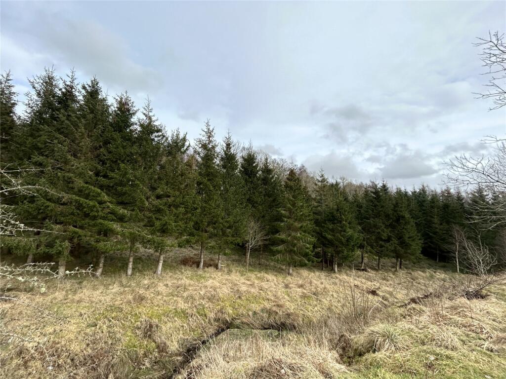 Woodland