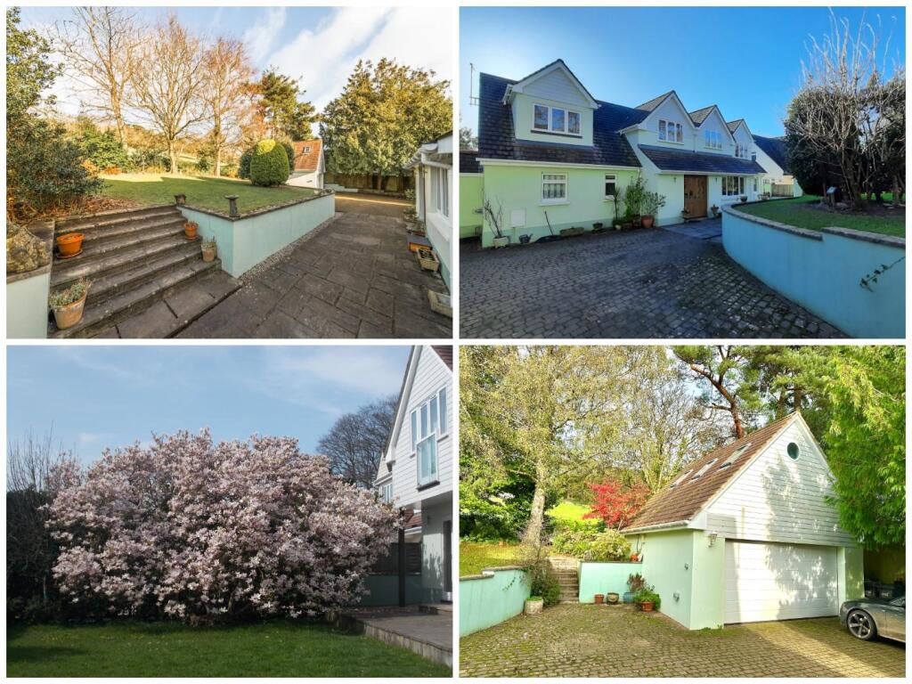 Back page collage III.jpg