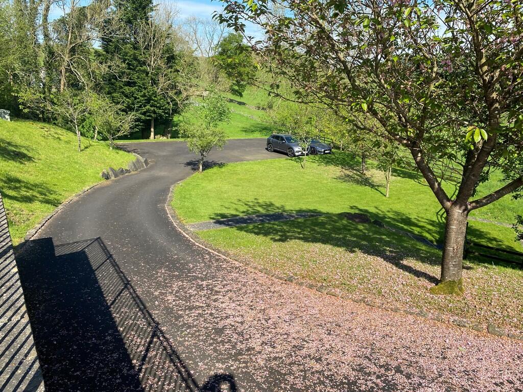 Visitor Parking
