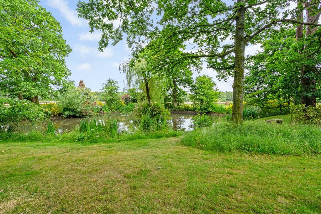 View to Pond