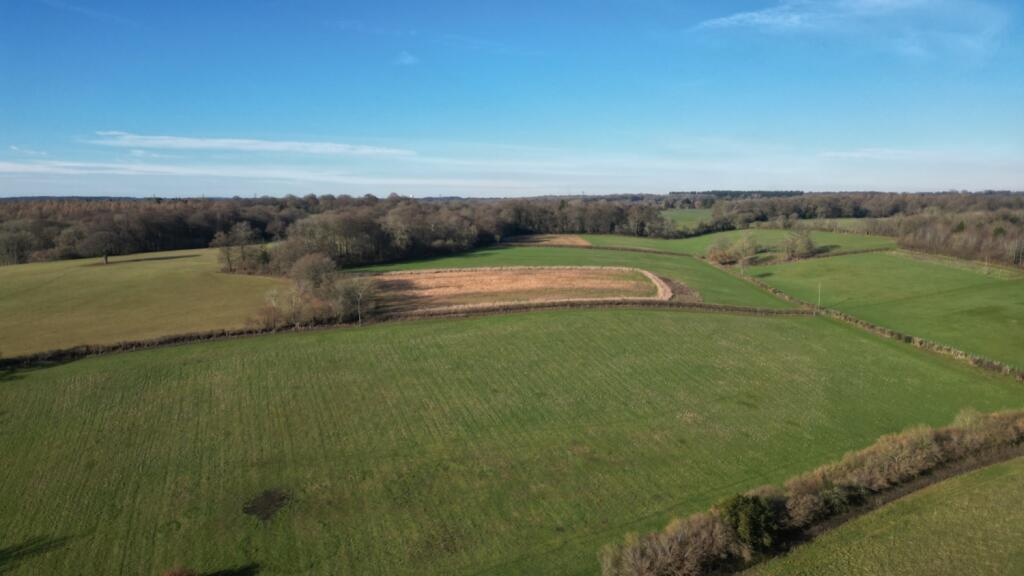 Lrg_DJI_0296