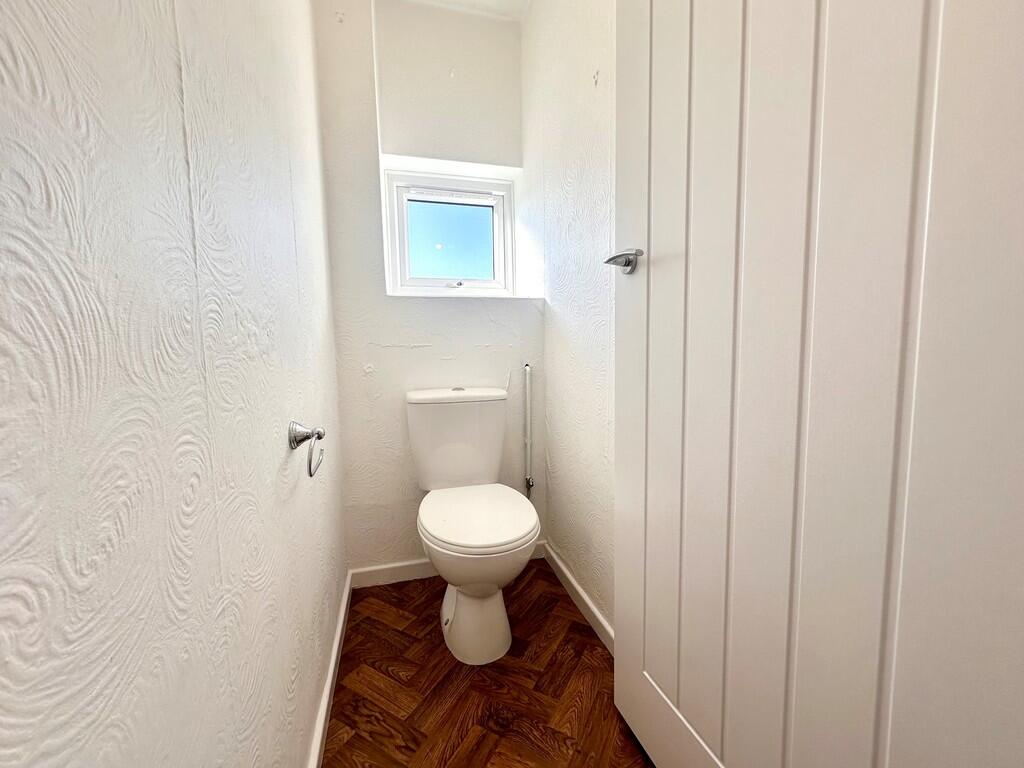 Dolphins wc
