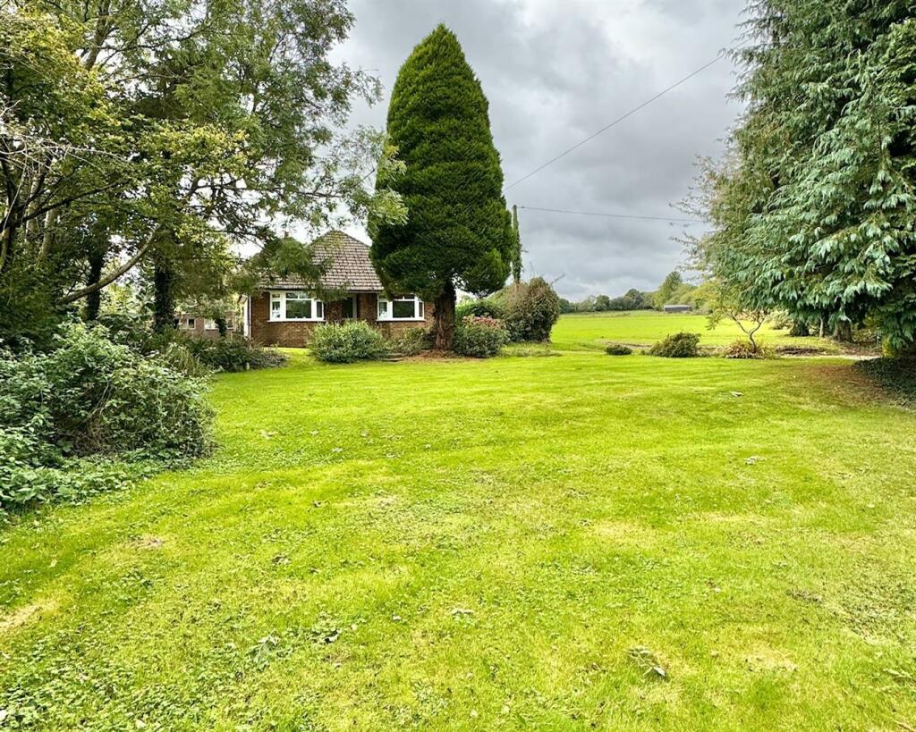 front garden.jpg