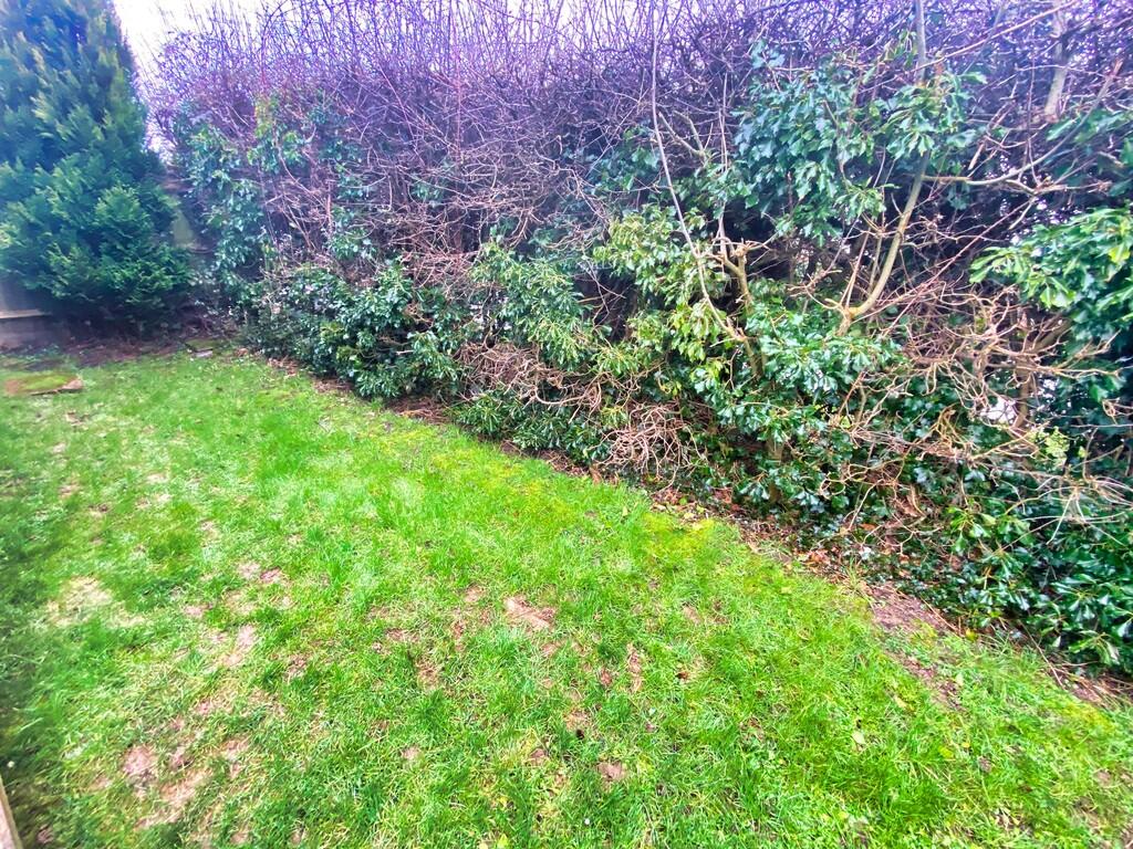 Photo 20-02-2025,...