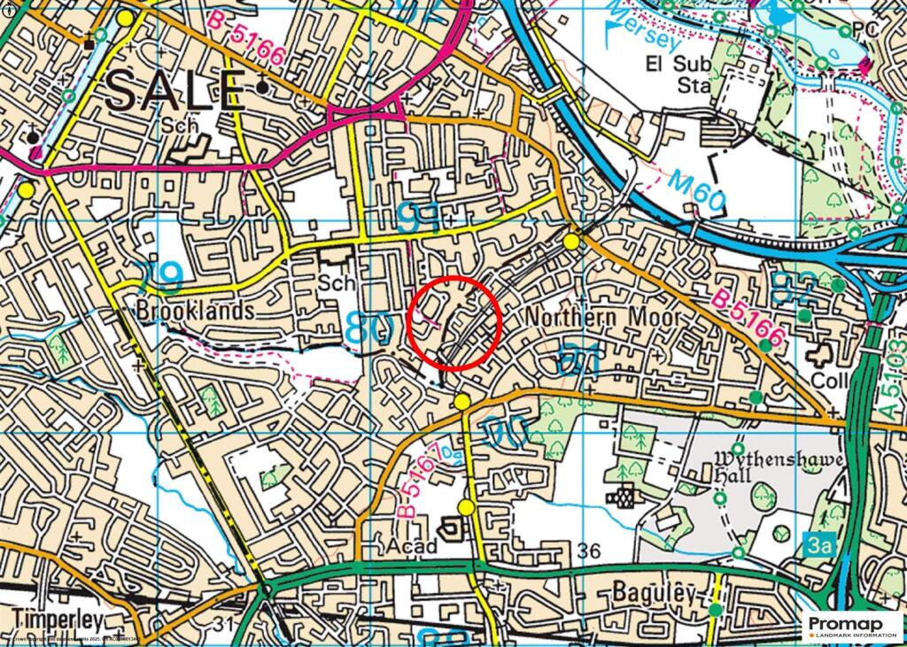 Town Plan