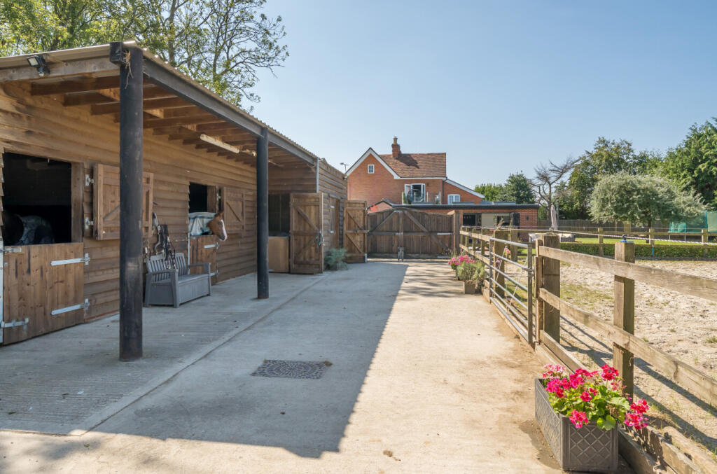 1339637-6-6899d1f...