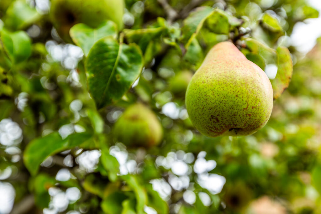 5F8A2379-Enhanced-NR