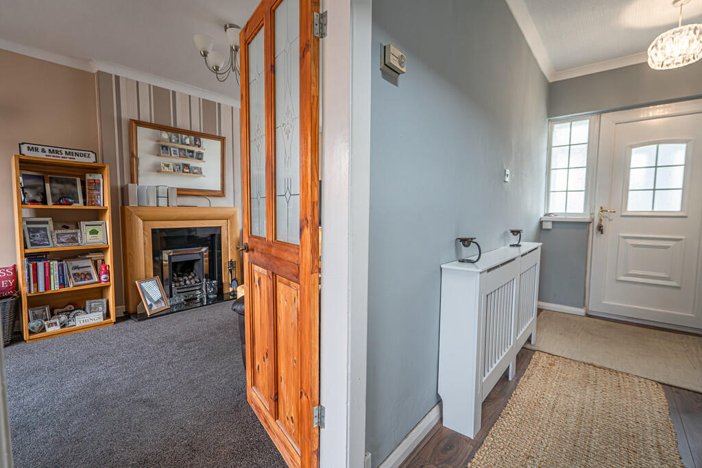 20250307-DSC03167...