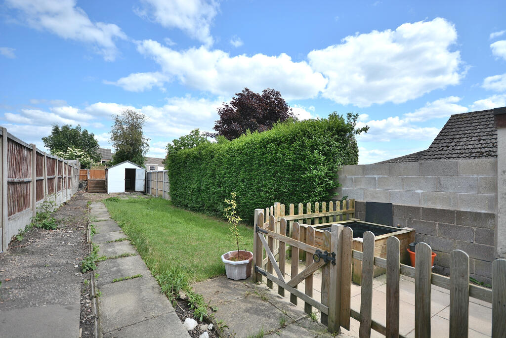 DSC 0509 T202510081141.jpg