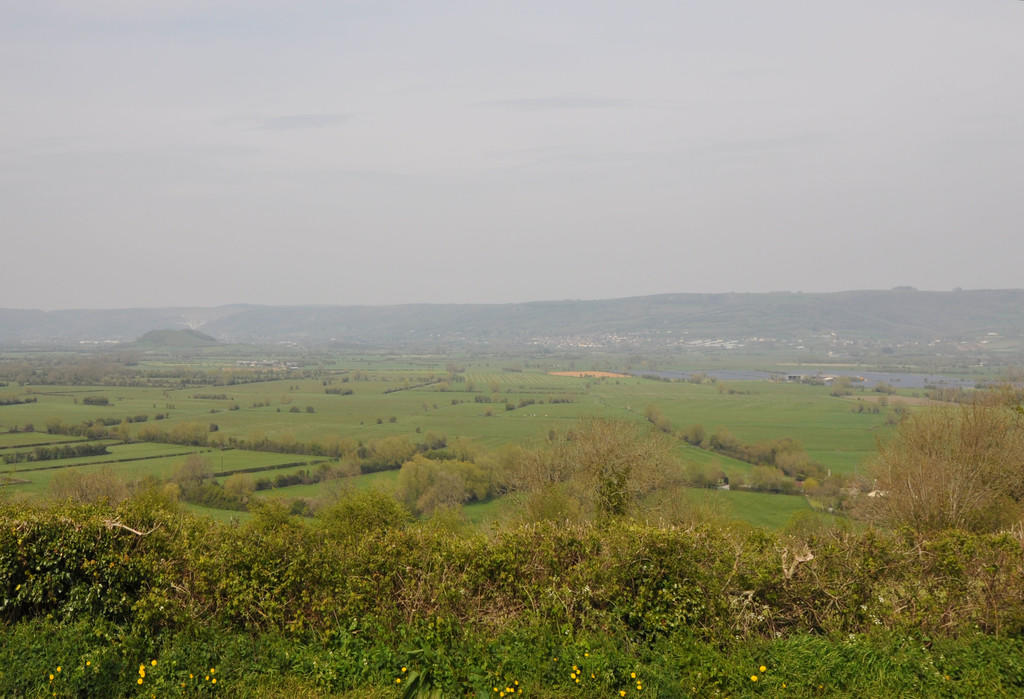 View to the Front