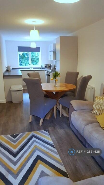 Kitchen / Living Area