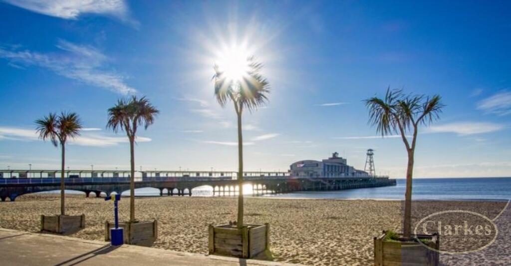 20241004181602687_original