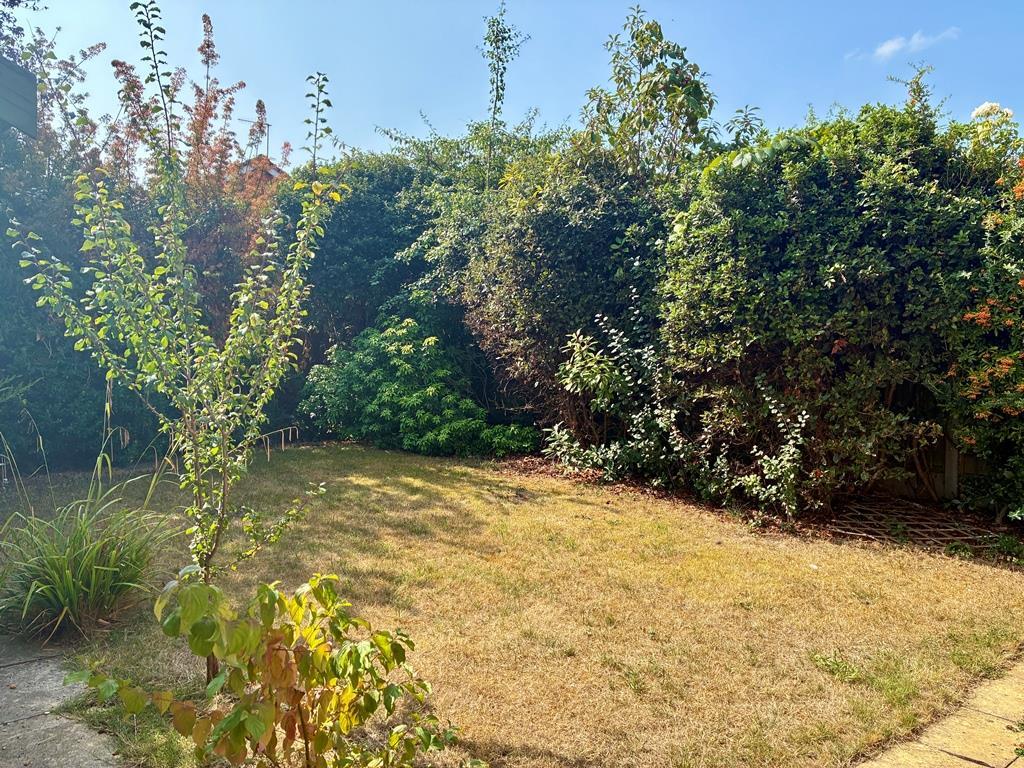 Garden (2).JPEG