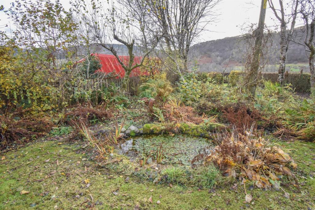 POND-2.jpg