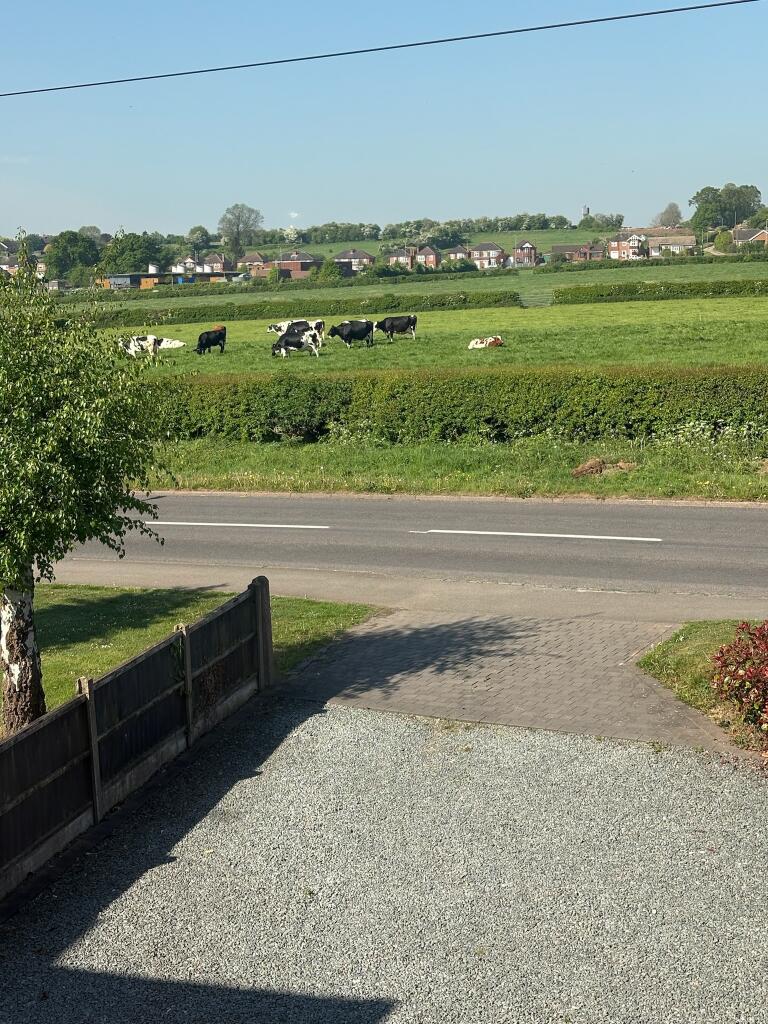 View from Master Bedroom