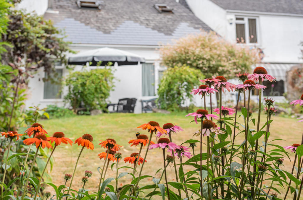 Garden Lifestyle