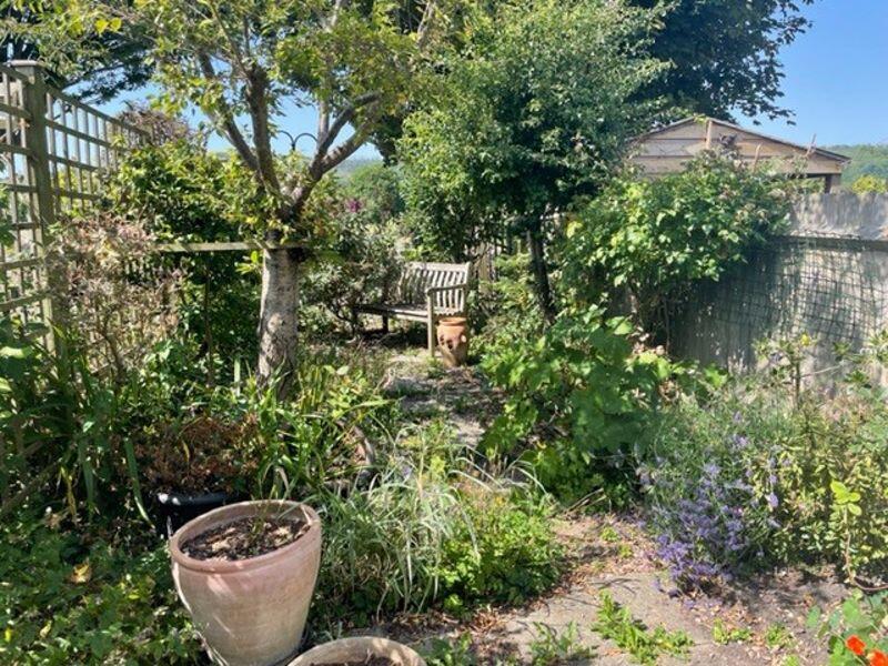 Photo 19
