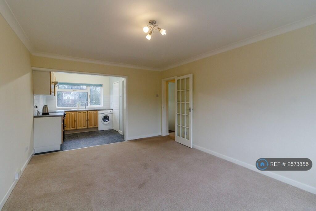 Living / Dining Room