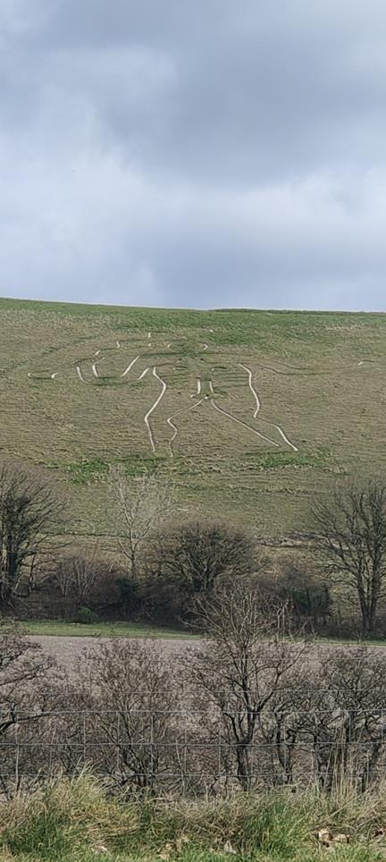 Screenshot_2025-03-12-12-05-40-72_99c04817c0de5652