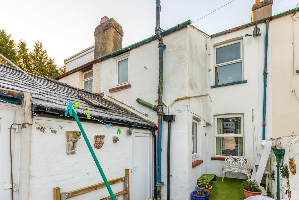 Rear Yard