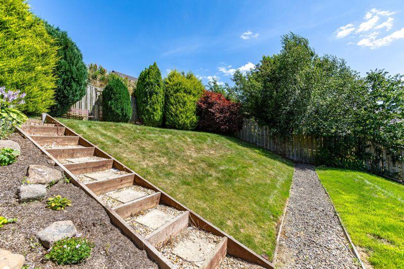 Garden &amp; Lawn
