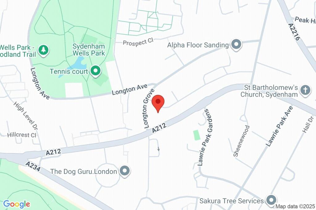 Google Maps Image