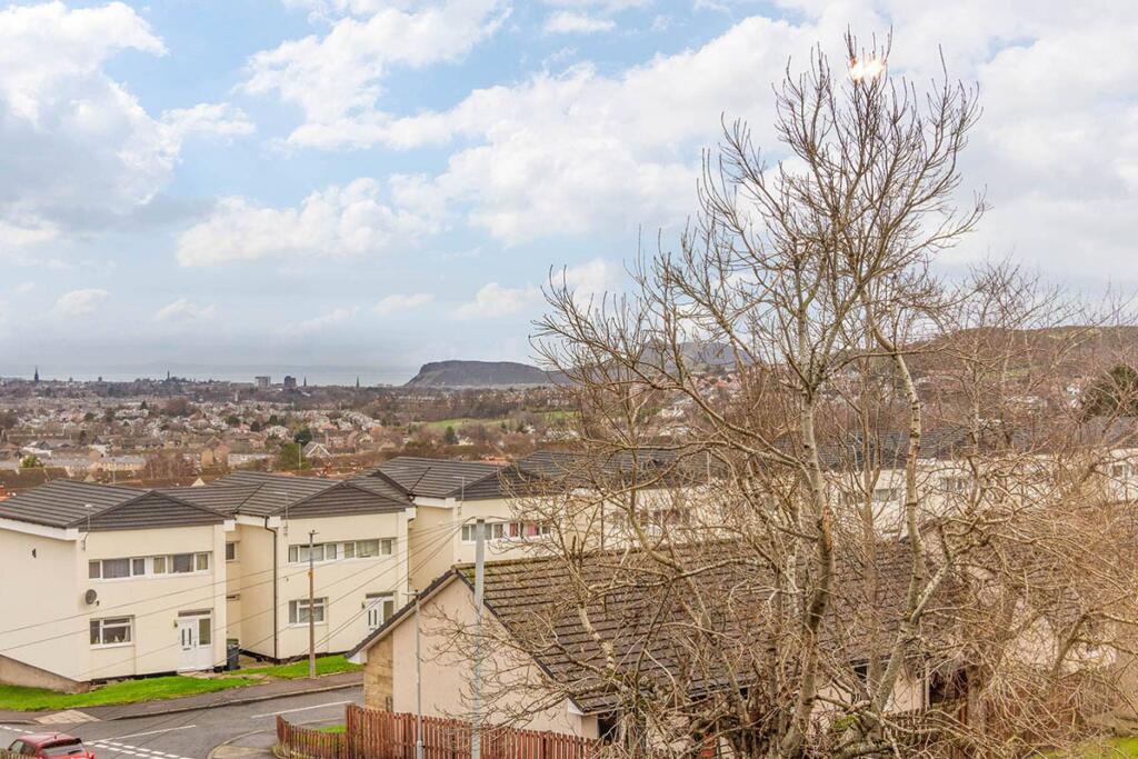 MFL3243954_581.jpg